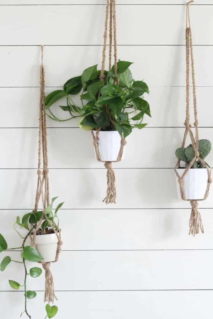 Plant Hangers